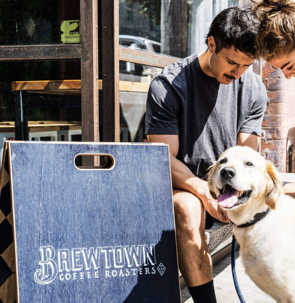 Top 10 Dog Friendly Cafes and Restaurants in Wellington