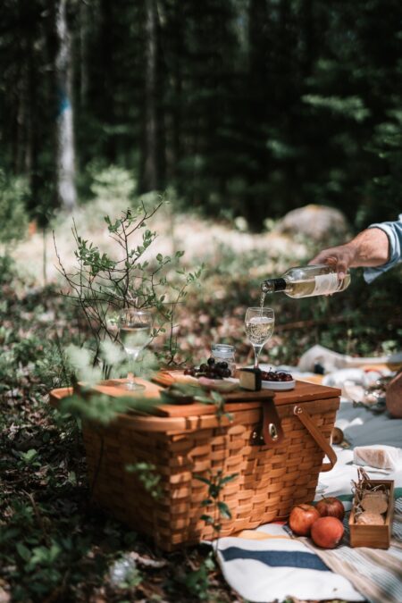 Picnic Spots In Wellington