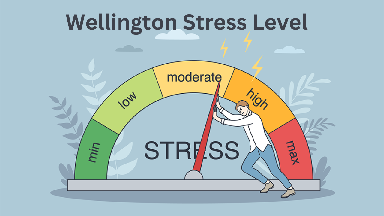 The Level Of Stress Wellington People Had