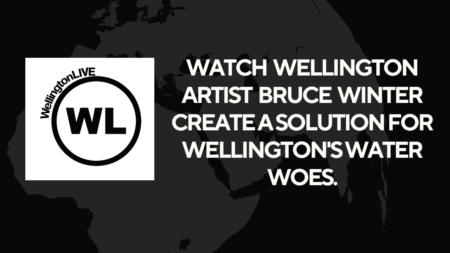 Watch Wellington artist Bruce Winter create a solution for Wellington Water Woes.