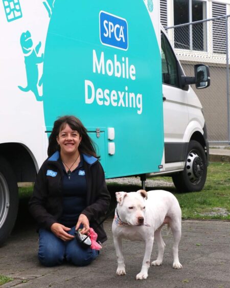 SPCA’s Mobile Desexing Clinic Embarks on Journey to Porirua and The Hutt Valley