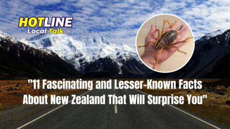 11 Fascinating and Lesser-Known Facts About New Zealand That Will Surprise You