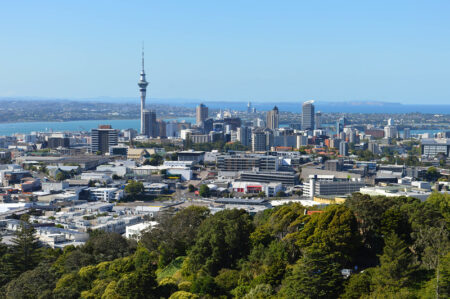 The story of Wellington property owners.