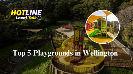 Top 5 Playgrounds in Wellington