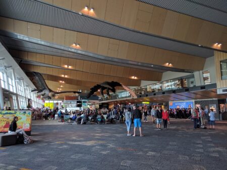 Controversy Over Wellington Airport Sale: A Councilor’s Perspective