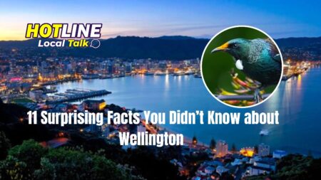 Discover Wellington: 11 Surprising Facts You Didn’t Know