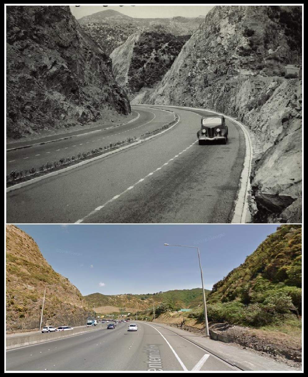 Ngauranga gorge