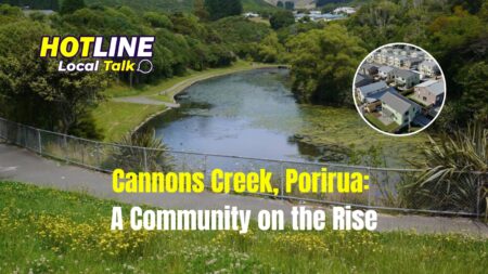 Cannons Creek, Porirua: A Community on the Rise