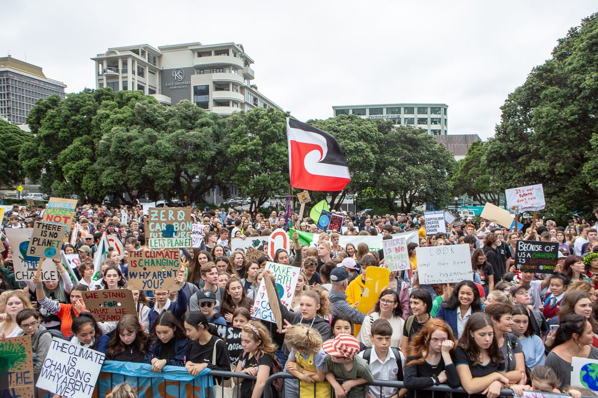 The Green Dream: Wellington’s Young Voters