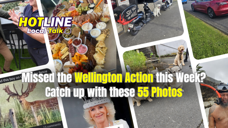 Missed the Wellington Action this Week? Catch up with these 55 Photos