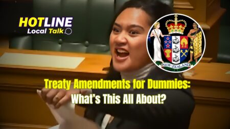 Treaty Amendments for Dummies: What’s This All About?