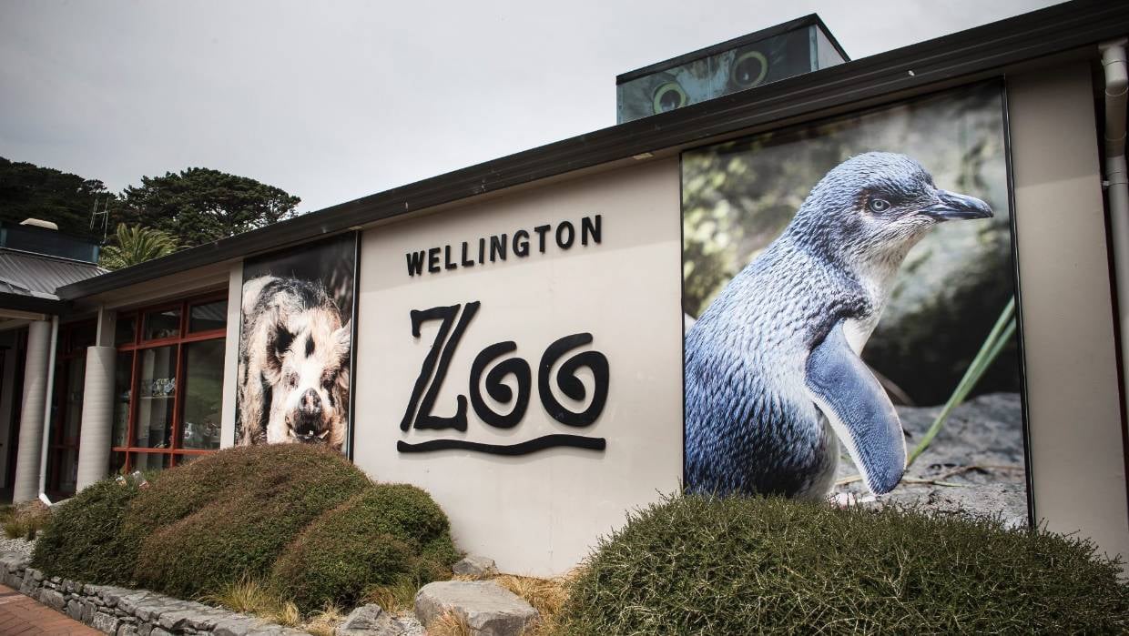 Wellington Zoo