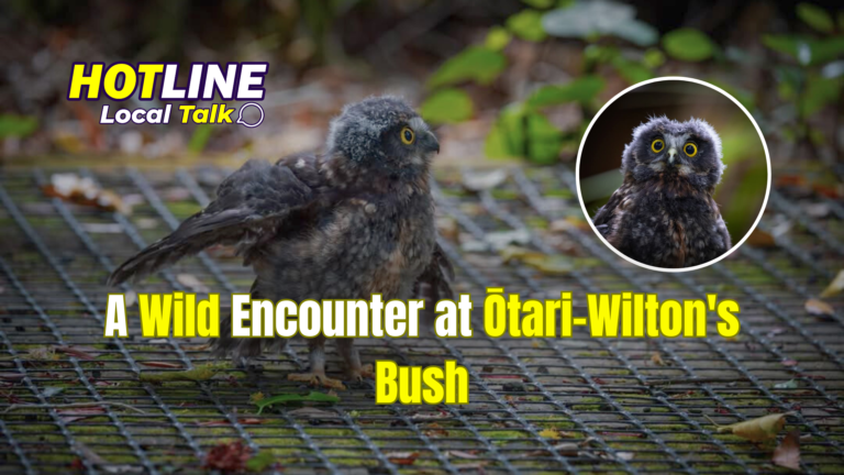 A Wild Encounter at Ōtari-Wilton's Bush