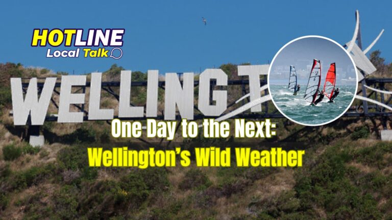 One Day to the Next: Wellington’s Wild Weather