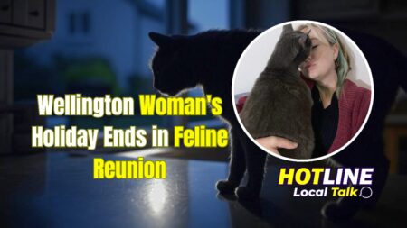 Wellington Woman’s Holiday Ends in Feline Reunion Wellington Woman's Holiday Ends in Feline Reunion
