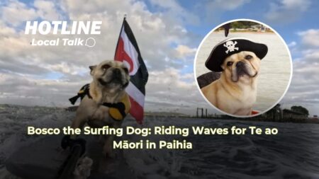 Bosco the Surfing Dog: Riding Waves for Te ao Māori in Paihia Bosco the Surfing Dog: Riding Waves for Te ao Māori in Paihia