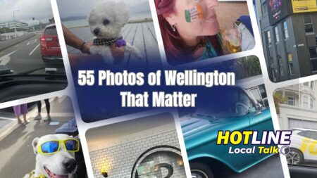 55 Photos of Wellington That Matter