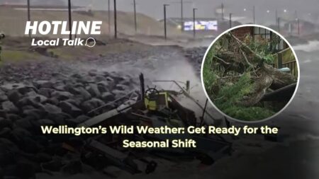 Wellington’s Wild Weather: Get Ready for the Seasonal Shift Wellington’s Wild Weather: Get Ready for the Seasonal Shift