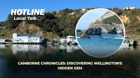 Camborne Chronicles: Discovering Wellington’s Hidden Gem