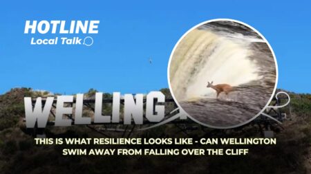 This is What Resilience Looks Like – Can Wellington Swim Away from Falling Over the Cliff