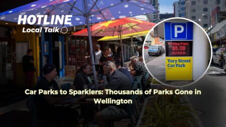 Car Parks to Sparklers: Thousands of Parks Gone in Wellington Car Parks to Sparklers: Thousands of Parks Gone in Wellington