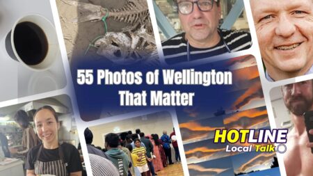 55 Photos of Wellington That Matter 55 Photos of Wellington That Matter