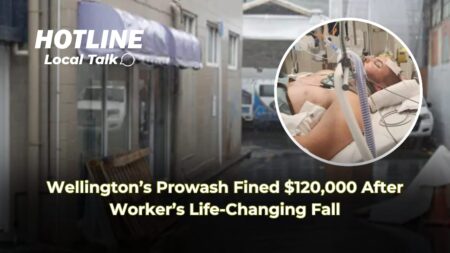 Wellington’s Prowash Fined $120,000 After Worker’s Life-Changing Fall Wellington’s Prowash Fined $120,000 After Worker’s Life-Changing Fall