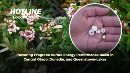 Foraging in Wellington’s Mountains: The Delight of Snow Berries with Your Coffee 🍵