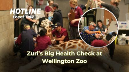Zuri’s Big Health Check at Wellington Zoo Zuri’s Big Health Check at Wellington Zoo