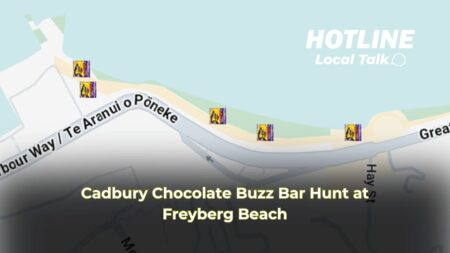 Cadbury Chocolate Buzz Bar Hunt at Freyberg Beach