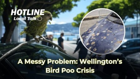 A Messy Problem: Wellington’s Bird Poo Crisis