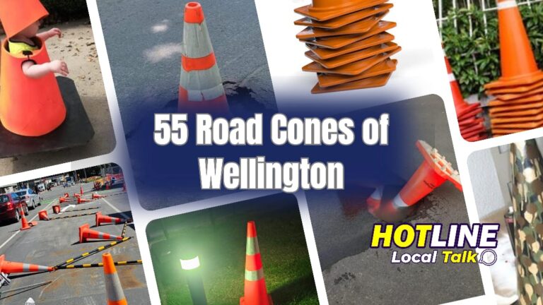 55 Road Cones of Wellington 55 Road Cones of Wellington