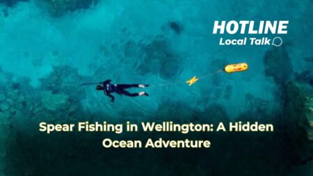 Spear Fishing in Wellington: A Hidden Ocean Adventure Spear Fishing in Wellington: A Hidden Ocean Adventure