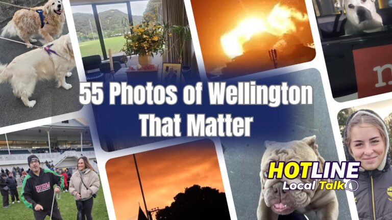 55 Photos of Wellington That Matter