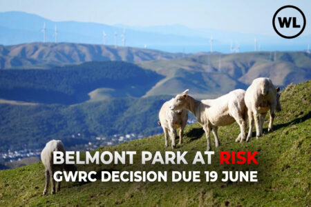 Belmont Park at Risk – GWRC Decision Due 19 June