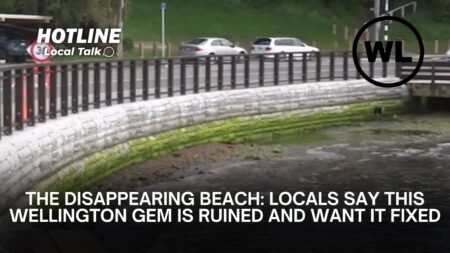 The Disappearing Beach: Locals Say This Wellington Gem Is Ruined and Want It Fixed