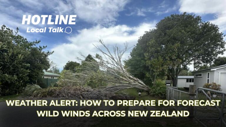 Weather Alert: How to Prepare for Forecast Wild Winds Across New Zealand