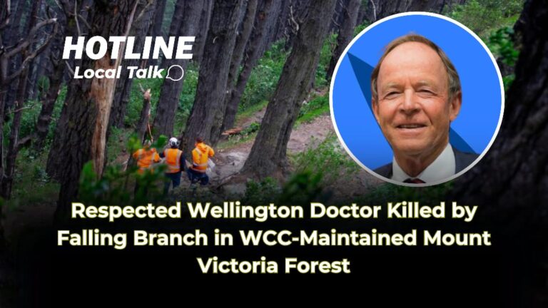 Respected Wellington Doctor Killed by Falling Branch in WCC-Maintained Mount Victoria Forest
