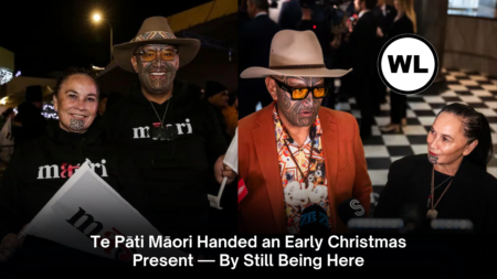 Te Pāti Māori Handed an Early Christmas Present — By Still Being Here