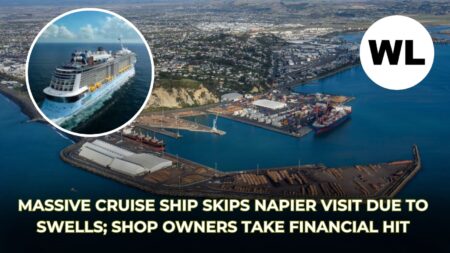 Massive cruise ship skips Napier visit due to swells; shop owners take financial hit