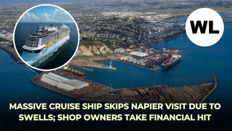 Massive cruise ship skips Napier visit due to swells; shop owners take financial hit
