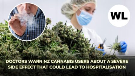 Doctors Warn NZ Cannabis Users About a Severe Side Effect That Could Lead to Hospitalisation