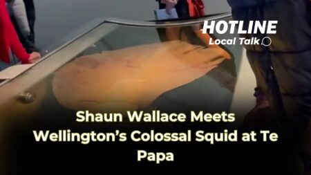 Shaun Wallace Meets Wellington’s Colossal Squid at Te Papa
