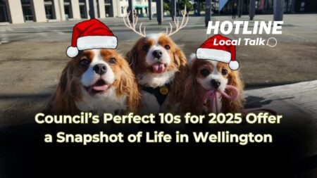 Council’s Perfect 10s for 2025 Offer a Snapshot of Life in Wellington