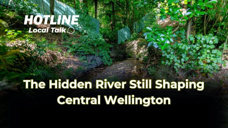 The Hidden River Still Shaping Central Wellington